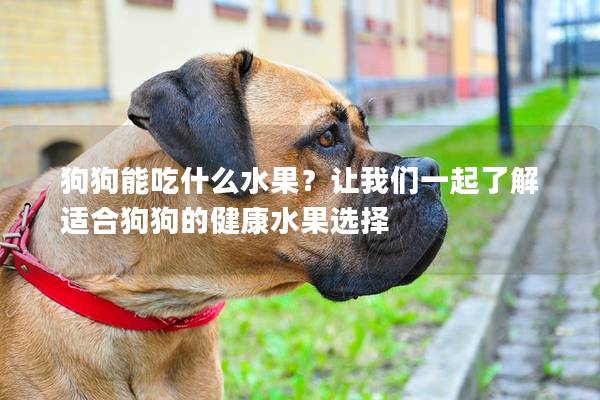 狗狗能吃什么水果？让我们一起了解适合狗狗的健康水果选择