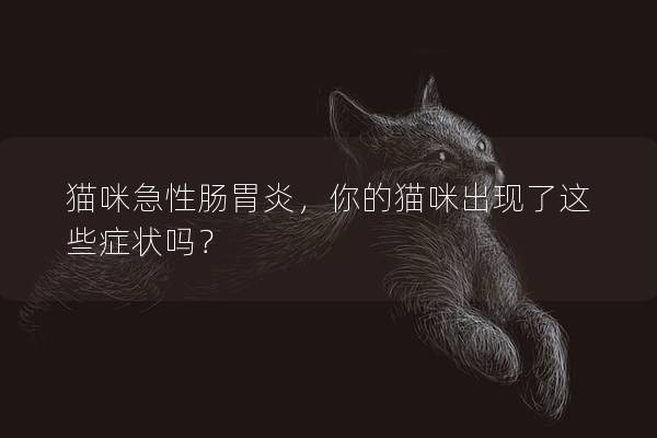 猫咪急性肠胃炎，你的猫咪出现了这些症状吗？