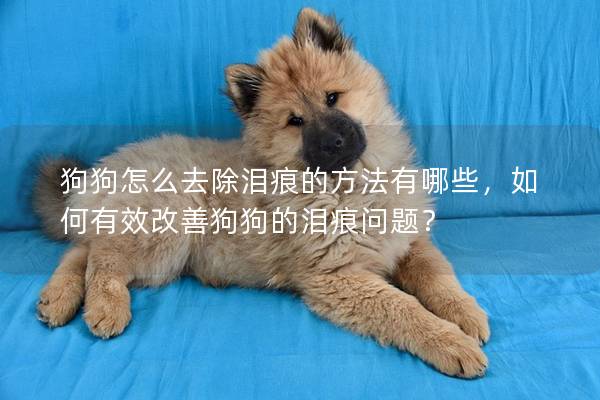 狗狗怎么去除泪痕的方法有哪些，如何有效改善狗狗的泪痕问题？