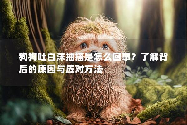 狗狗吐白沫抽搐是怎么回事？了解背后的原因与应对方法