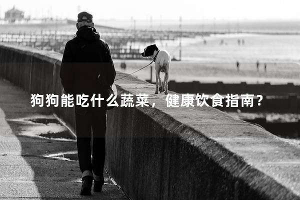 狗狗能吃什么蔬菜，健康饮食指南？