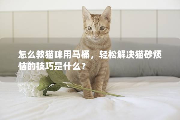 怎么教猫咪用马桶，轻松解决猫砂烦恼的技巧是什么？