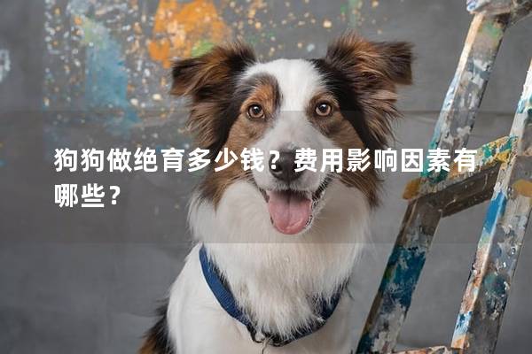 狗狗做绝育多少钱？费用影响因素有哪些？