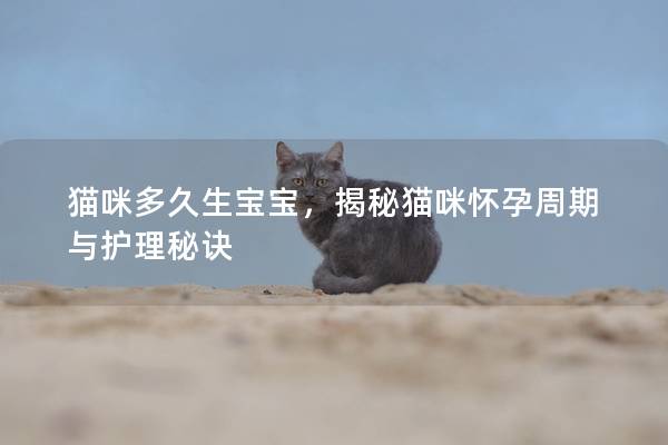 猫咪多久生宝宝，揭秘猫咪怀孕周期与护理秘诀