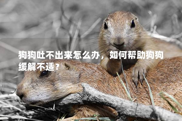 狗狗吐不出来怎么办，如何帮助狗狗缓解不适？