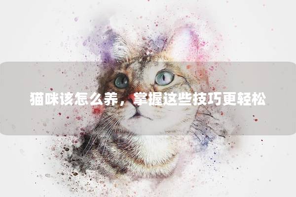 猫咪该怎么养，掌握这些技巧更轻松
