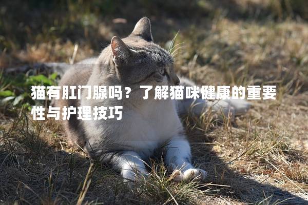 猫有肛门腺吗？了解猫咪健康的重要性与护理技巧