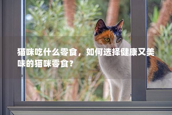猫咪吃什么零食，如何选择健康又美味的猫咪零食？