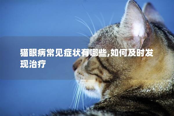 猫眼病常见症状有哪些,如何及时发现治疗