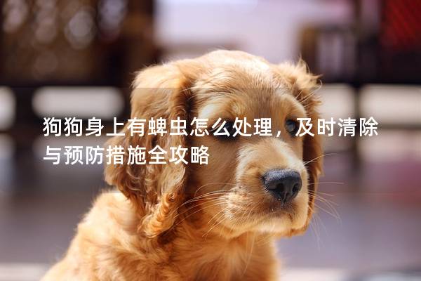 狗狗身上有蜱虫怎么处理，及时清除与预防措施全攻略