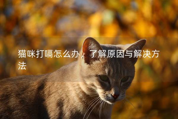 猫咪打嗝怎么办，了解原因与解决方法