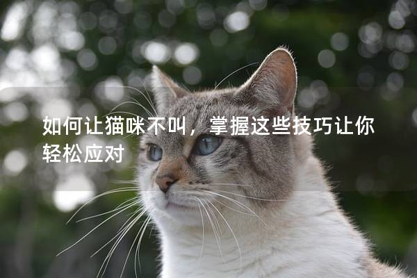 如何让猫咪不叫，掌握这些技巧让你轻松应对
