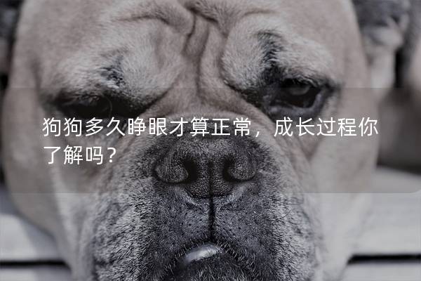 狗狗多久睁眼才算正常，成长过程你了解吗？