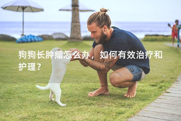 狗狗长肿瘤怎么办，如何有效治疗和护理？