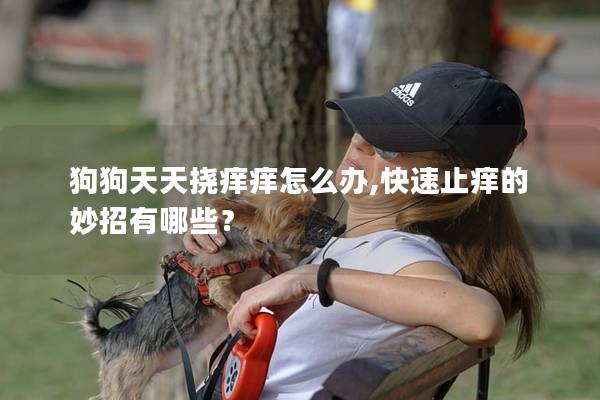 狗狗天天挠痒痒怎么办,快速止痒的妙招有哪些？