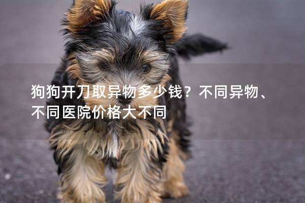 狗狗开刀取异物多少钱？不同异物、不同医院价格大不同