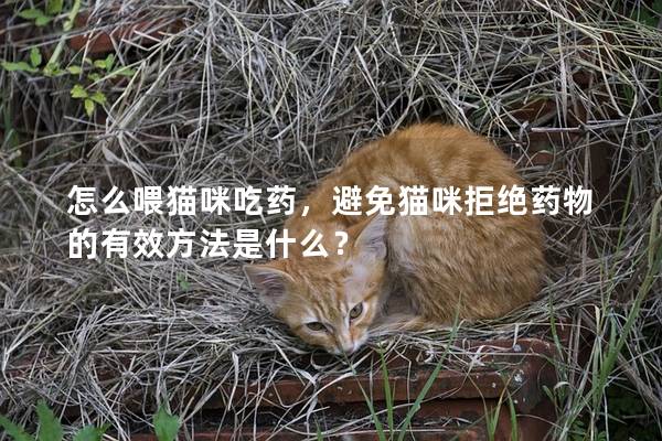 怎么喂猫咪吃药，避免猫咪拒绝药物的有效方法是什么？