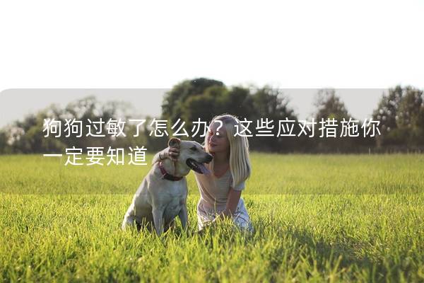 狗狗过敏了怎么办？这些应对措施你一定要知道