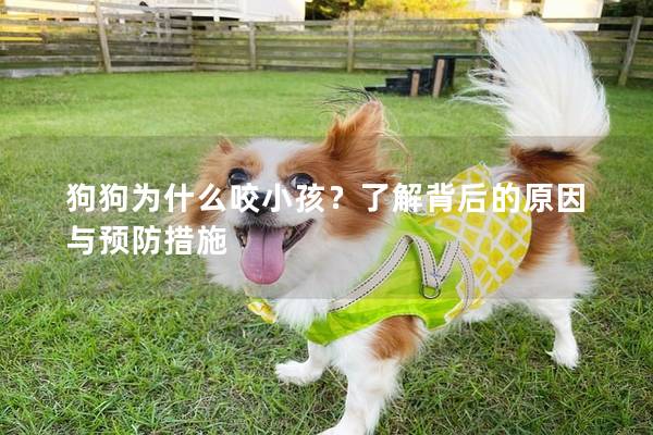 狗狗为什么咬小孩？了解背后的原因与预防措施
