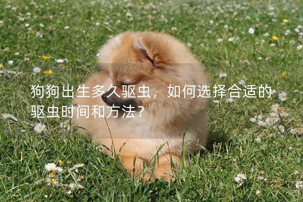 狗狗出生多久驱虫，如何选择合适的驱虫时间和方法？