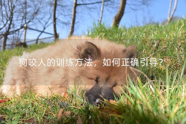 狗咬人的训练方法，如何正确引导？