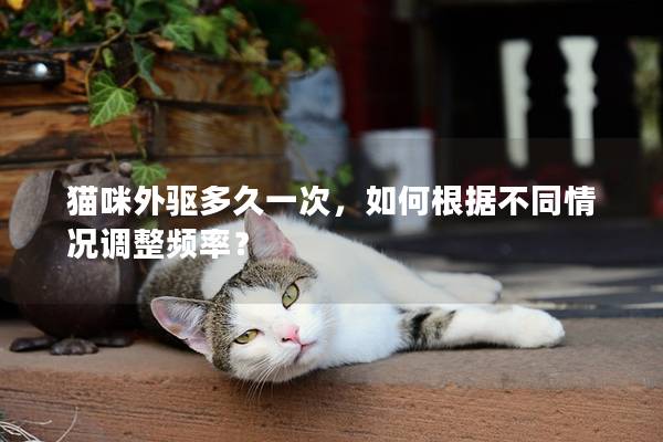 猫咪外驱多久一次，如何根据不同情况调整频率？