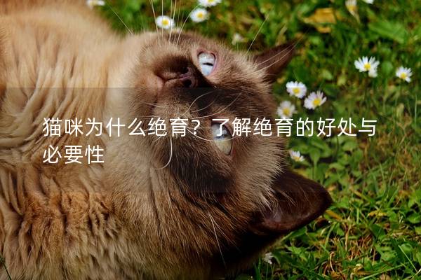 猫咪为什么绝育？了解绝育的好处与必要性