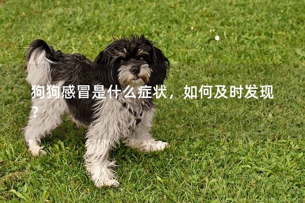 狗狗感冒是什么症状，如何及时发现？