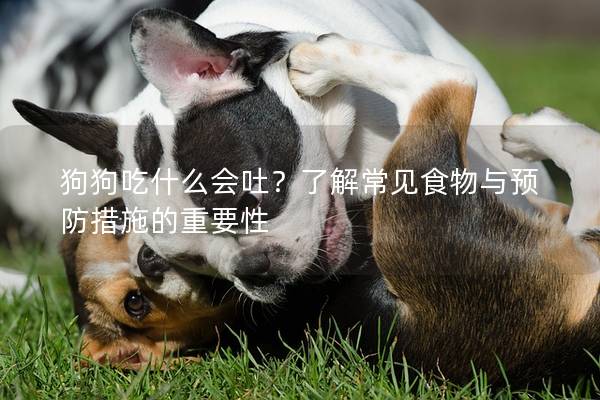 狗狗吃什么会吐？了解常见食物与预防措施的重要性