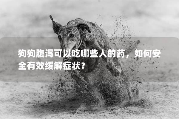 狗狗腹泻可以吃哪些人的药，如何安全有效缓解症状？