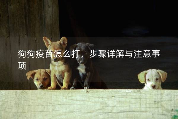 狗狗疫苗怎么打，步骤详解与注意事项