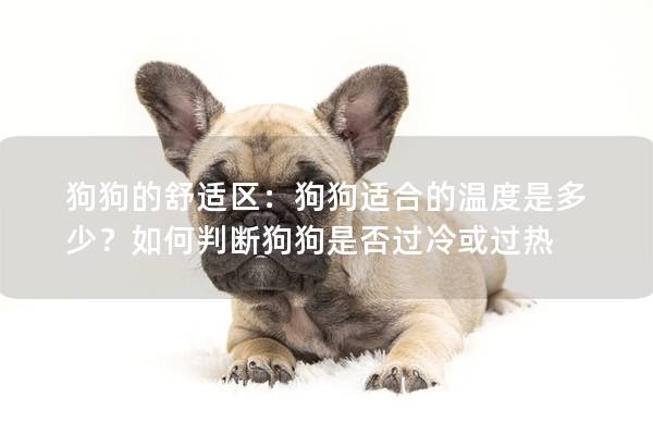 狗狗的舒适区：狗狗适合的温度是多少？如何判断狗狗是否过冷或过热