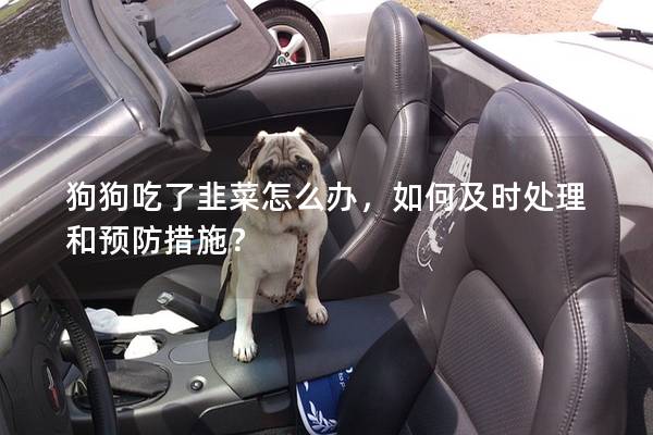狗狗吃了韭菜怎么办，如何及时处理和预防措施？