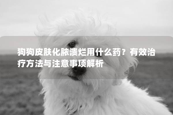 狗狗皮肤化脓溃烂用什么药？有效治疗方法与注意事项解析