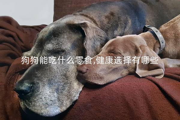 狗狗能吃什么零食,健康选择有哪些