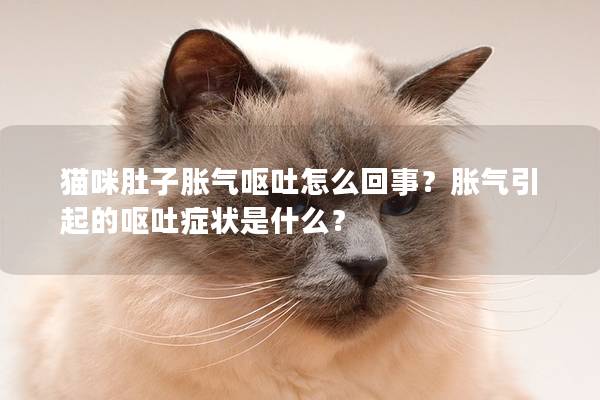 猫咪肚子胀气呕吐怎么回事？胀气引起的呕吐症状是什么？