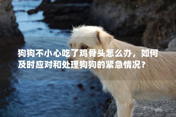 狗狗不小心吃了鸡骨头怎么办，如何及时应对和处理狗狗的紧急情况？