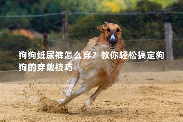 狗狗纸尿裤怎么穿？教你轻松搞定狗狗的穿戴技巧