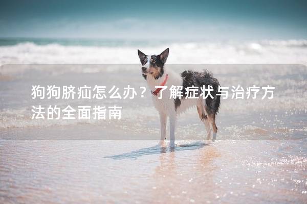 狗狗脐疝怎么办？了解症状与治疗方法的全面指南