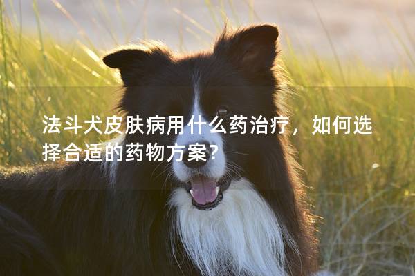 法斗犬皮肤病用什么药治疗，如何选择合适的药物方案？