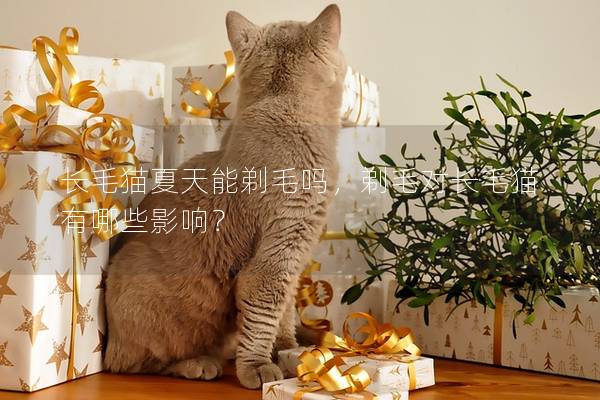 长毛猫夏天能剃毛吗，剃毛对长毛猫有哪些影响？