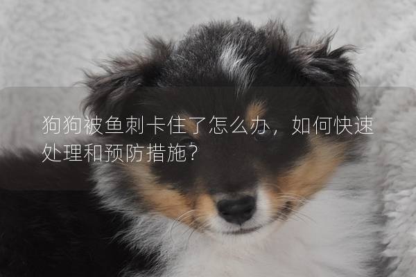 狗狗被鱼刺卡住了怎么办，如何快速处理和预防措施？