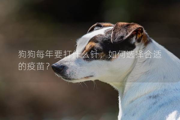 狗狗每年要打什么针，如何选择合适的疫苗？
