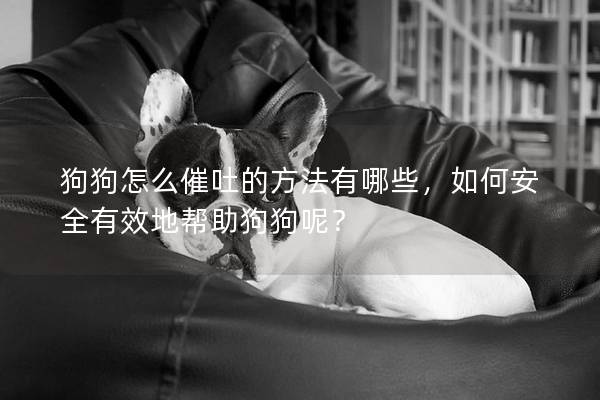 狗狗怎么催吐的方法有哪些，如何安全有效地帮助狗狗呢？