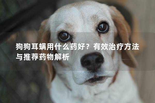 狗狗耳螨用什么药好？有效治疗方法与推荐药物解析
