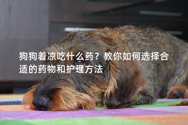 狗狗着凉吃什么药？教你如何选择合适的药物和护理方法