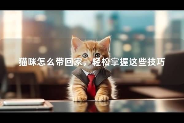 猫咪怎么带回家，轻松掌握这些技巧