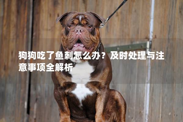 狗狗吃了鱼刺怎么办？及时处理与注意事项全解析