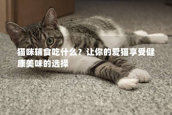 猫咪辅食吃什么？让你的爱猫享受健康美味的选择