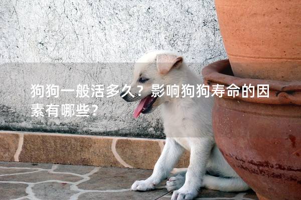 狗狗一般活多久？影响狗狗寿命的因素有哪些？
